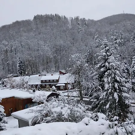 Apartament Erzgebirgswohnung Goetze Glashutte (Saxony)