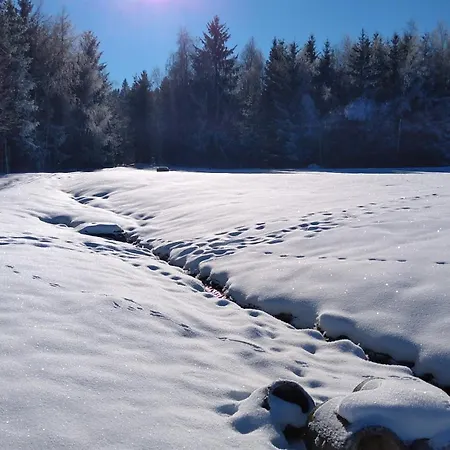 Erzgebirgswohnung Goetze * Glashutte (Saxony)