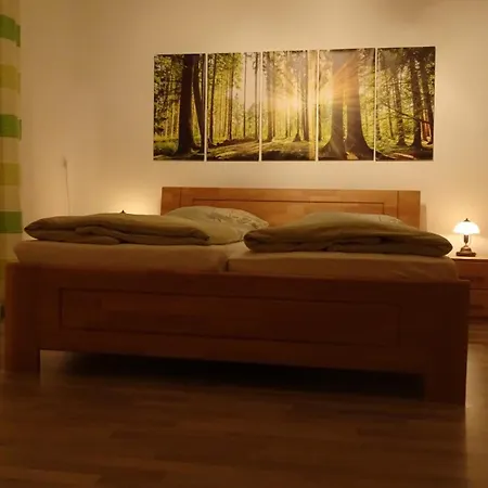 Erzgebirgswohnung Goetze Apartament *