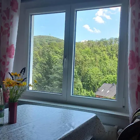 Erzgebirgswohnung Goetze * Glashutte (Saxony)