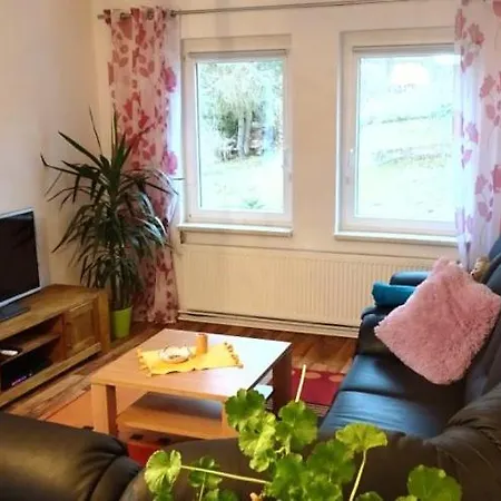 Erzgebirgswohnung Goetze Glashutte (Saxony)