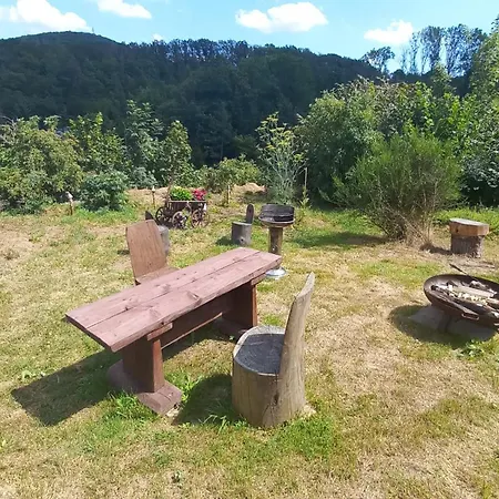 Erzgebirgswohnung Goetze * Glashutte (Saxony)