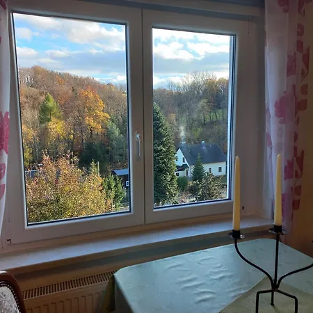 Erzgebirgswohnung Goetze Apartment Glashutte (Saxony)