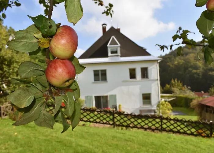 Erzgebirgswohnung Goetze *