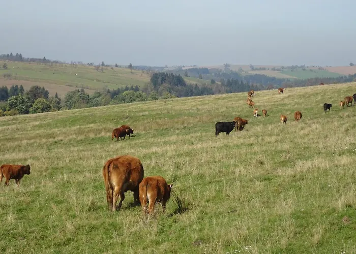 Erzgebirgswohnung Goetze Glashutte (Saxony)