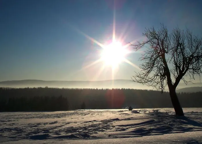 Апартаменты Erzgebirgswohnung Goetze Glashutte (Saxony)