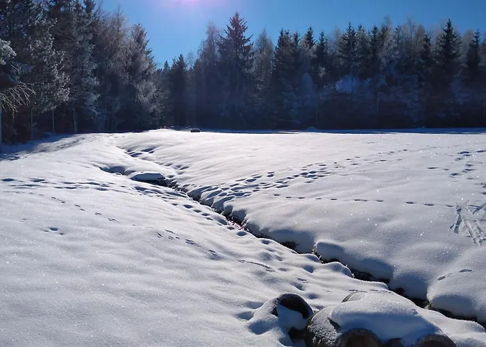 Erzgebirgswohnung Goetze * Glashutte (Saxony)