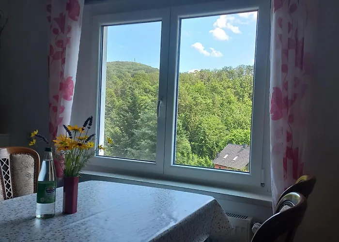 Erzgebirgswohnung Goetze * Glashutte (Saxony)